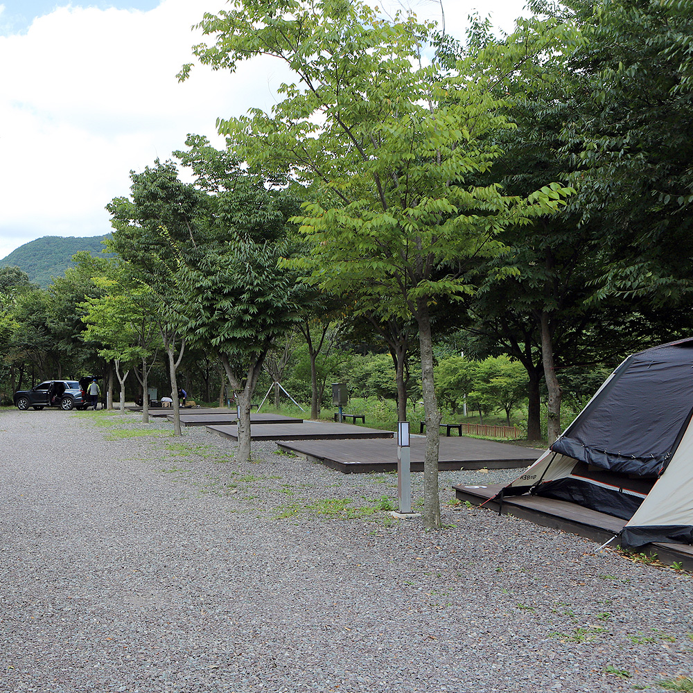 비학산자연휴양림야영장