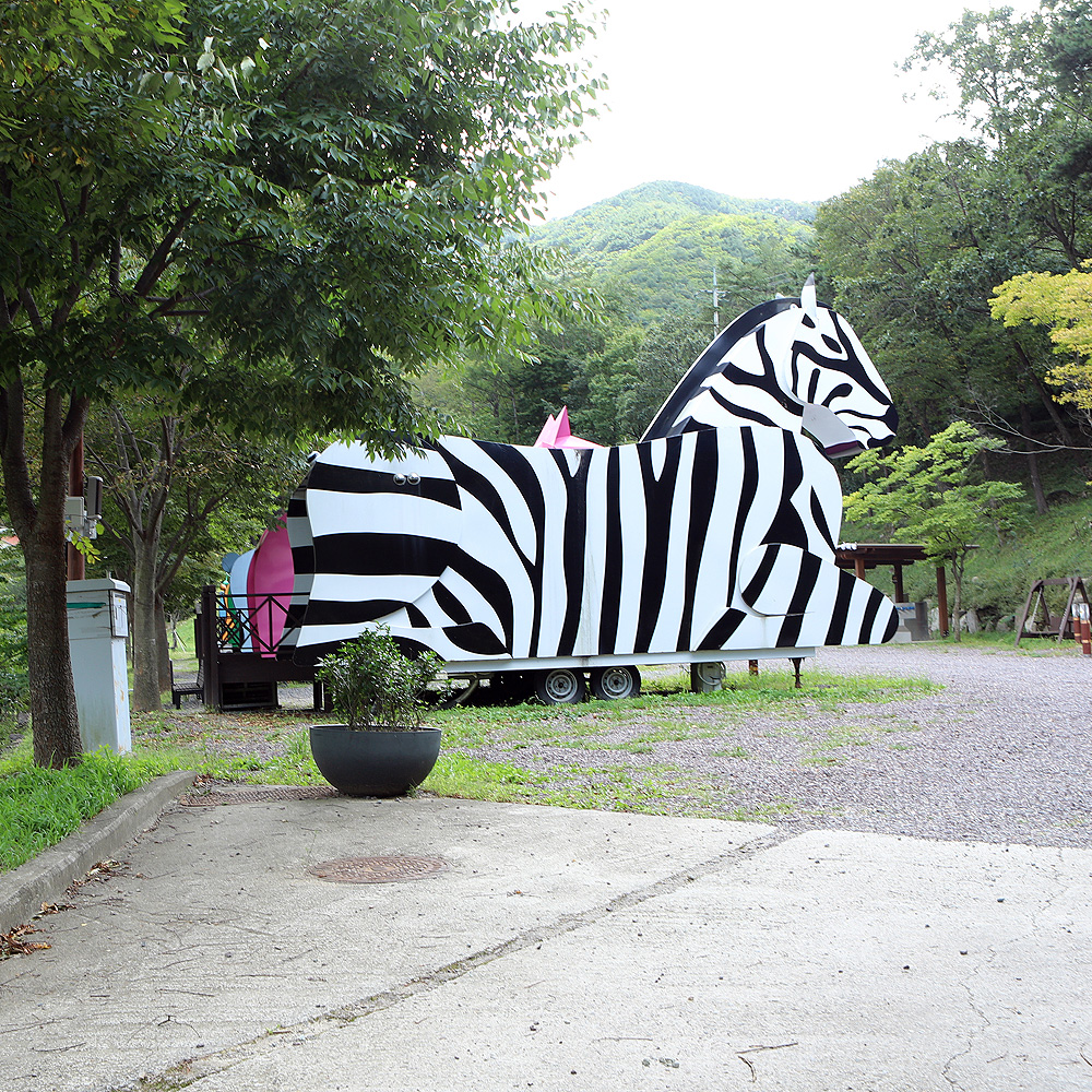 비학산자연휴양림야영장