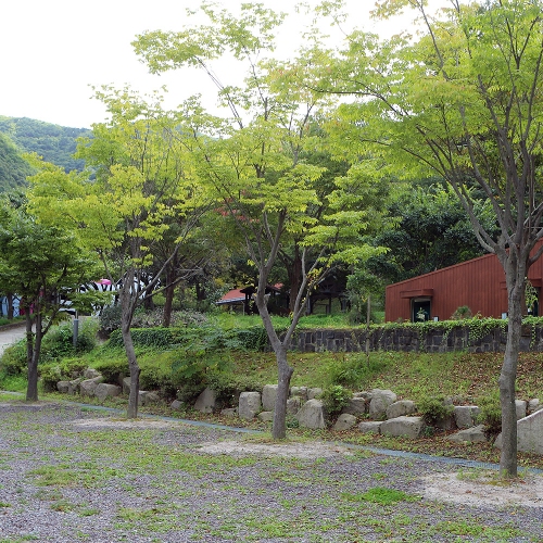 비학산자연휴양림야영장