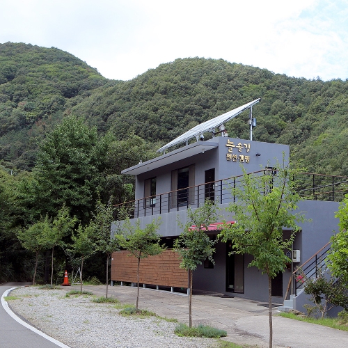 늘솔길펜션&캠핑장