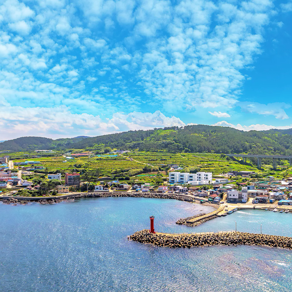 화이트7 애견풀빌라