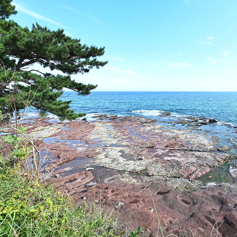 경정리국가지질공원