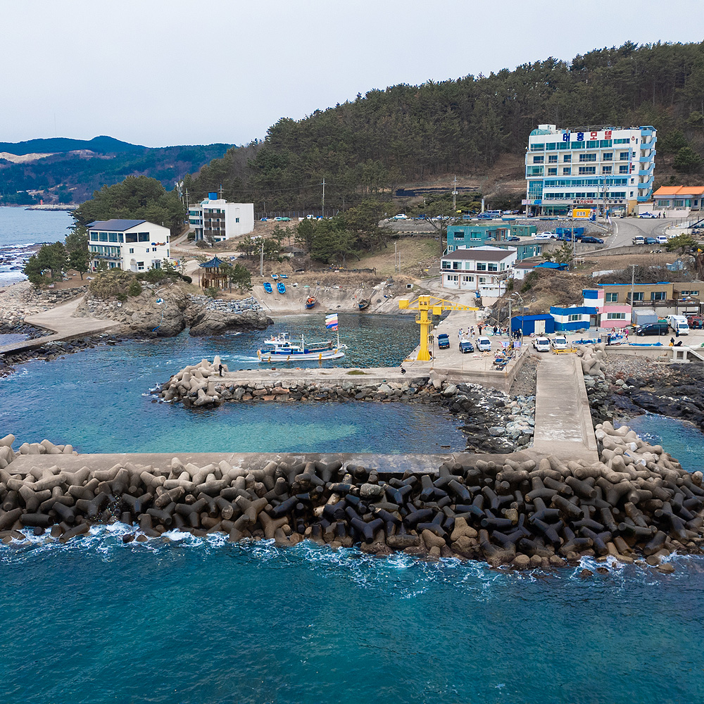 차유어촌체험마을