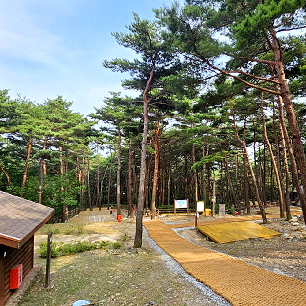 칠보산자연휴양림 야영장