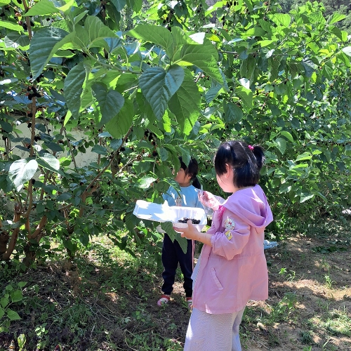 빵마을힐링캠프