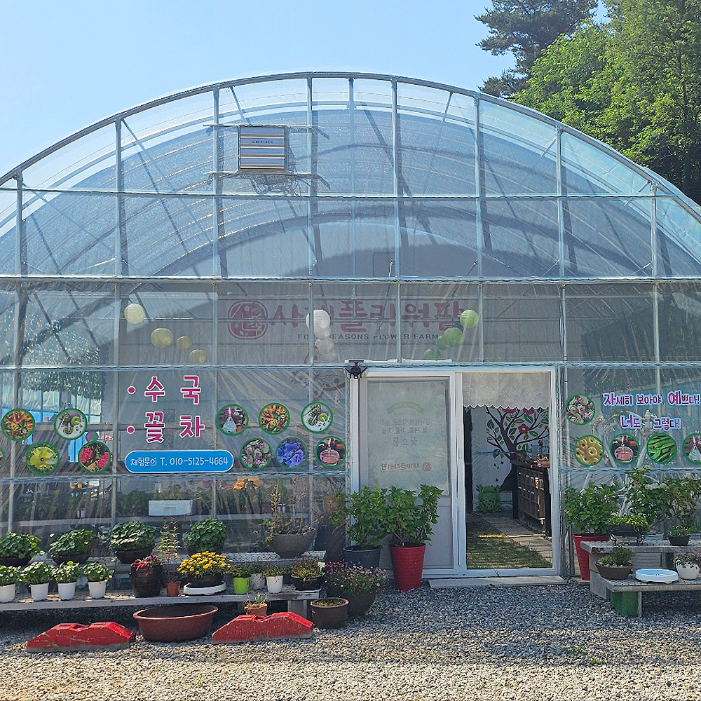 사계플라워팜