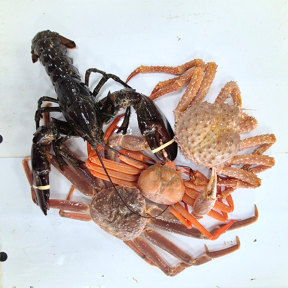 영덕대게센타 42호