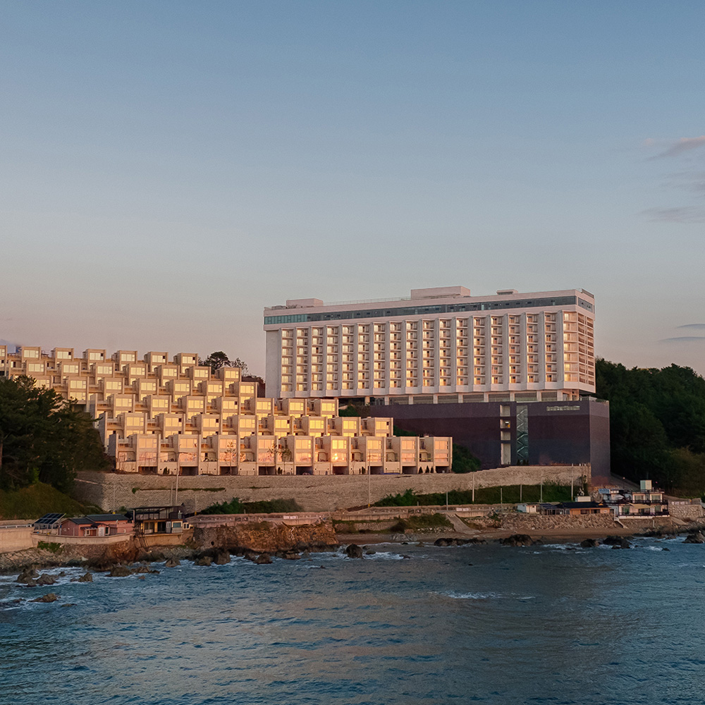 파나크 오퍼레이티드 바이소노