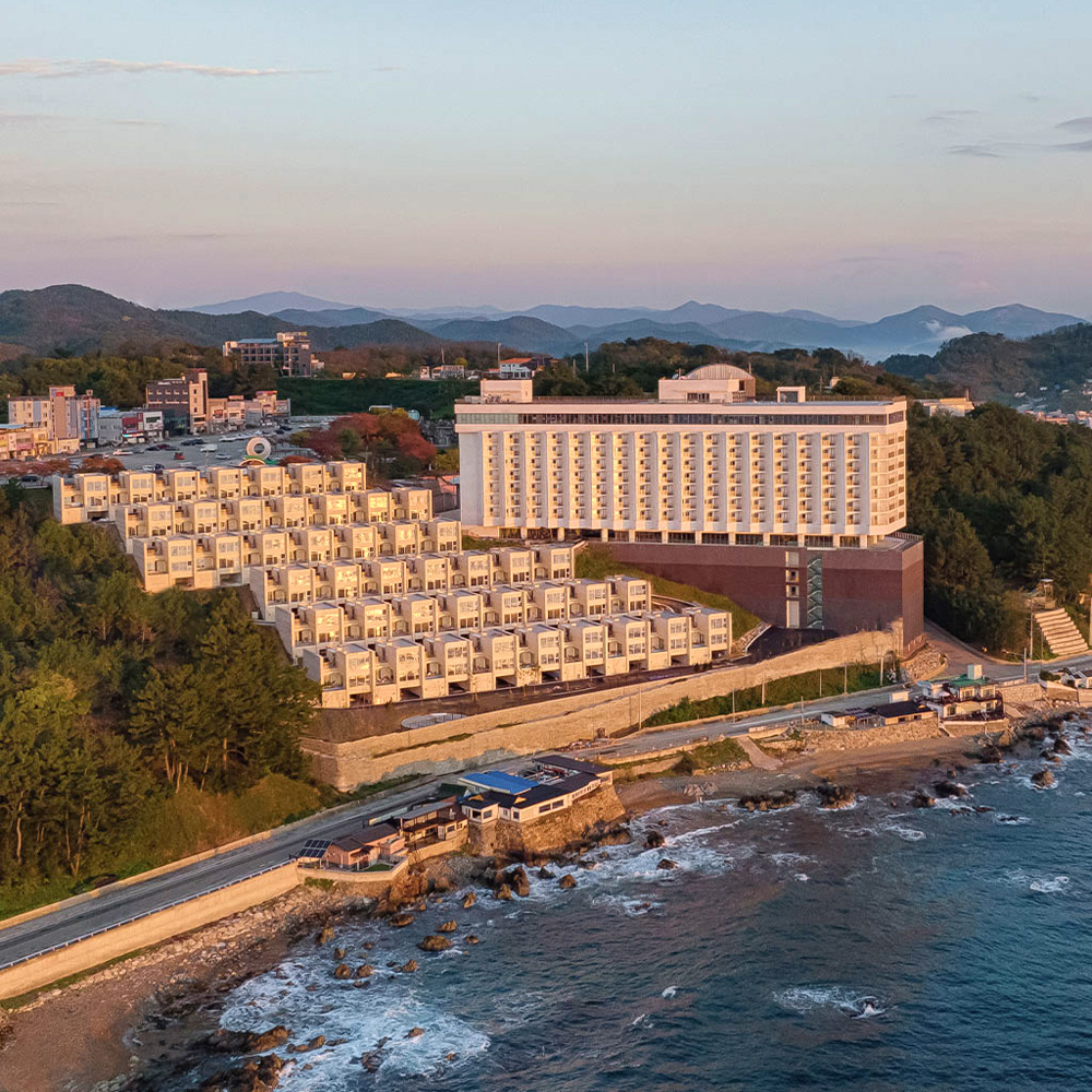 파나크 오퍼레이티드 바이소노