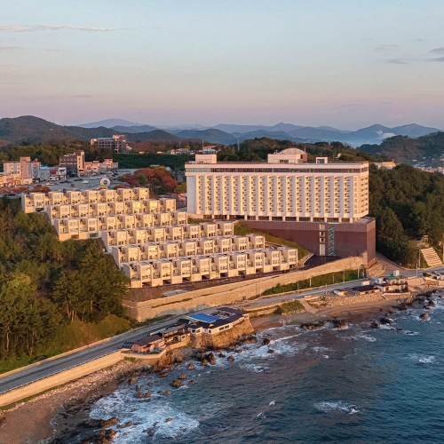 파나크 오퍼레이티드 바이소노