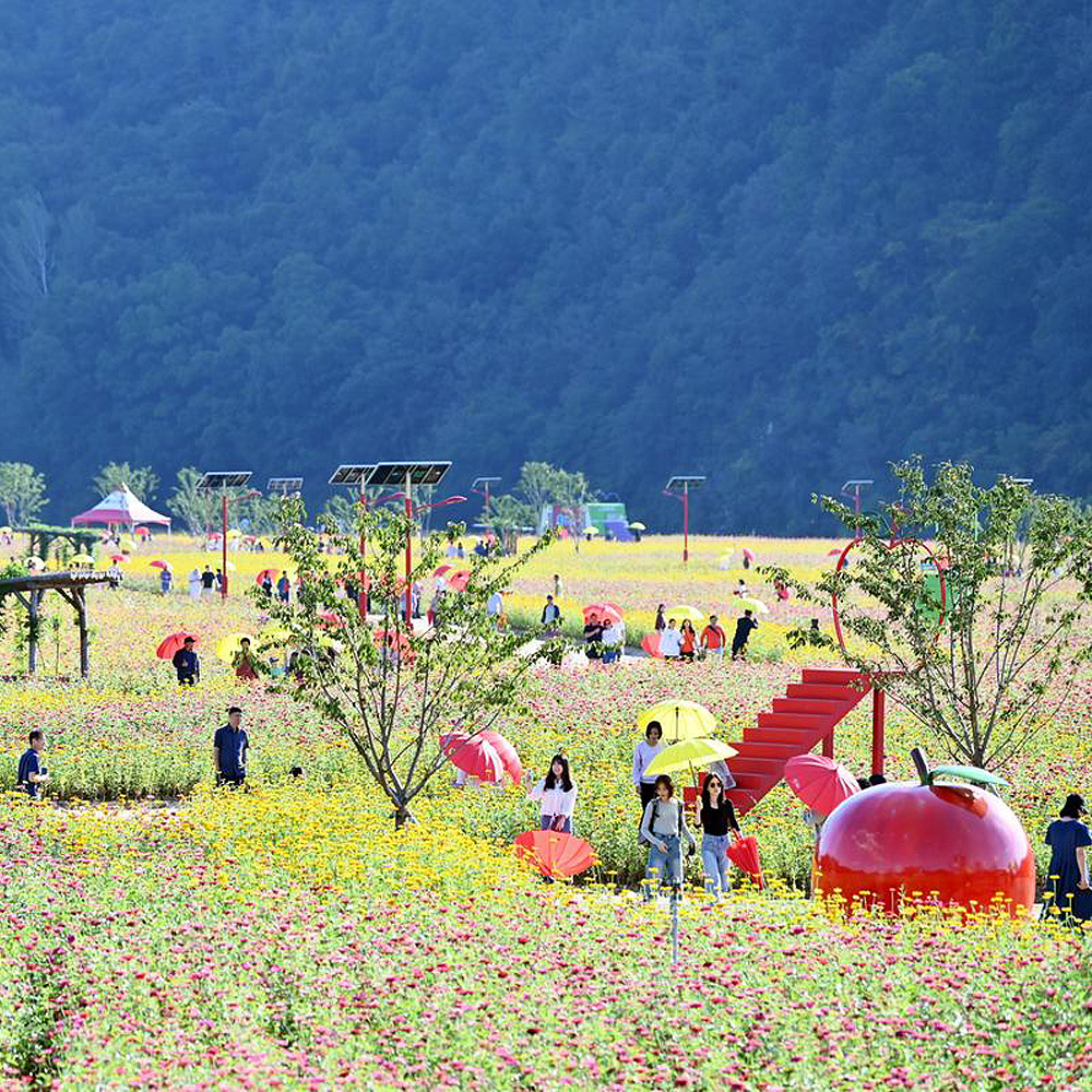 산소카페 청송정원