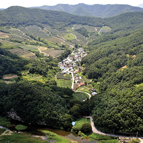 나실마그마혼합대