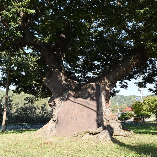 외씨버선길 셋째길 - 김주영객주길
