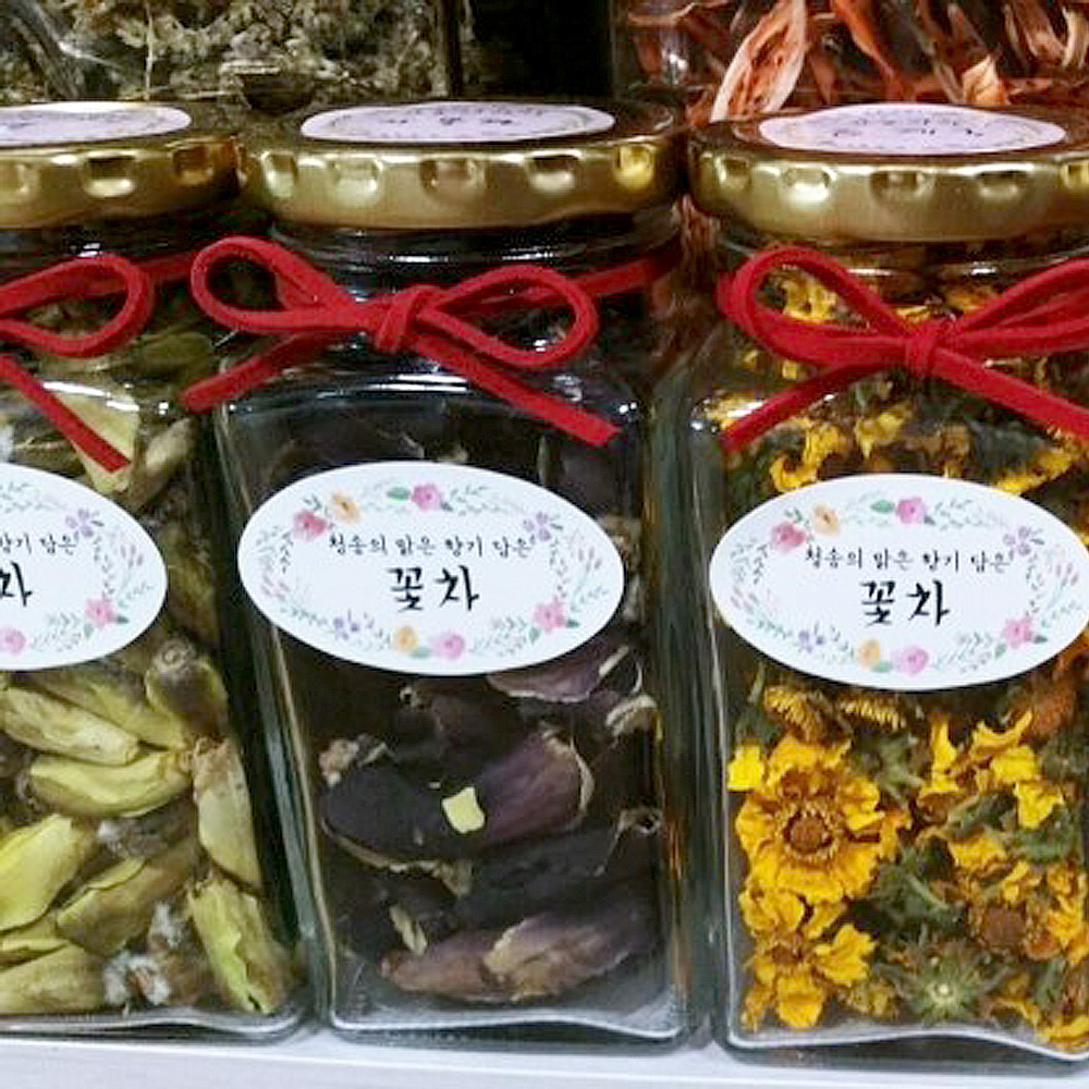 동글이와 윤양의 산골이야기