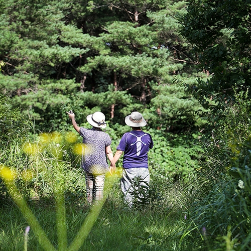 청송뫼살이농장