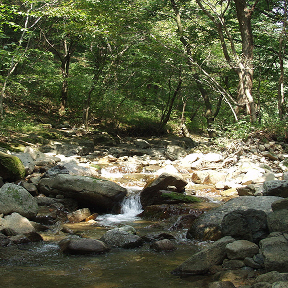 문경8경 운달계곡
