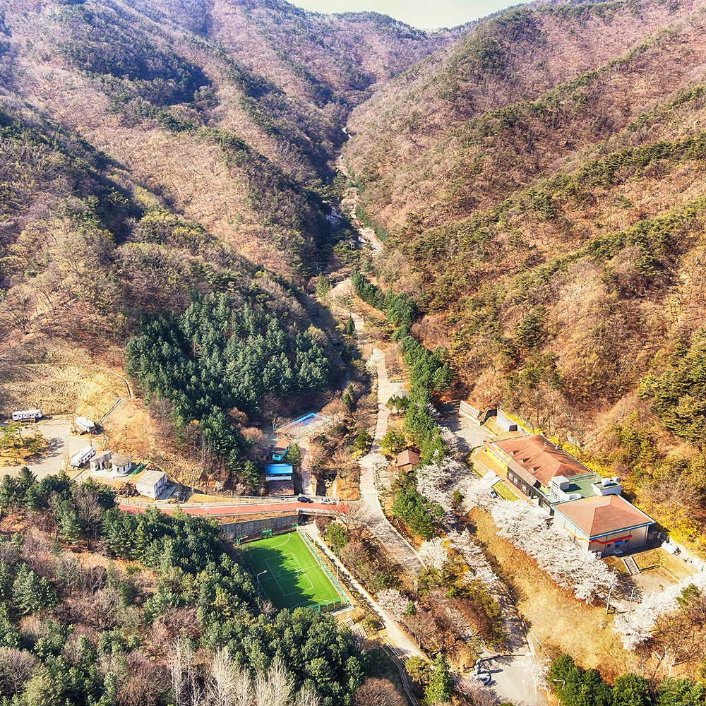 불정자연휴양림