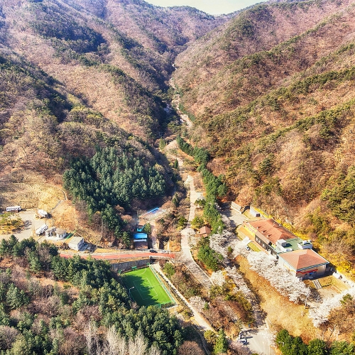 불정자연휴양림