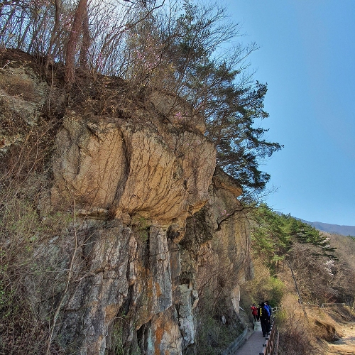 선유칠곡 칠우칠곡