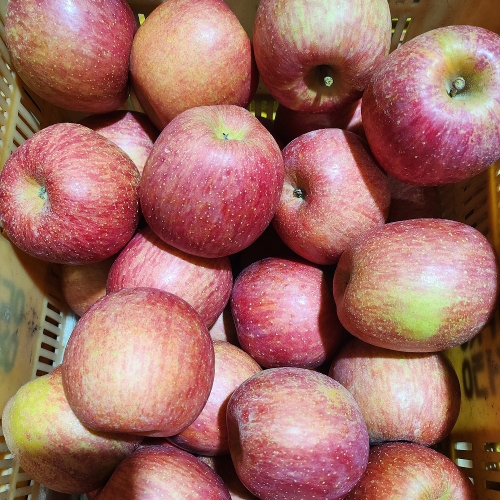 문경새재팔영사과마을