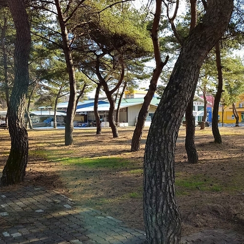 성보촌유스호스텔 캠핑장