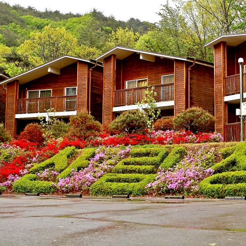 국립대야산자연휴양림