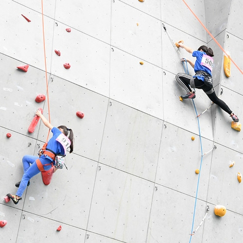 문경국제클라이밍센터