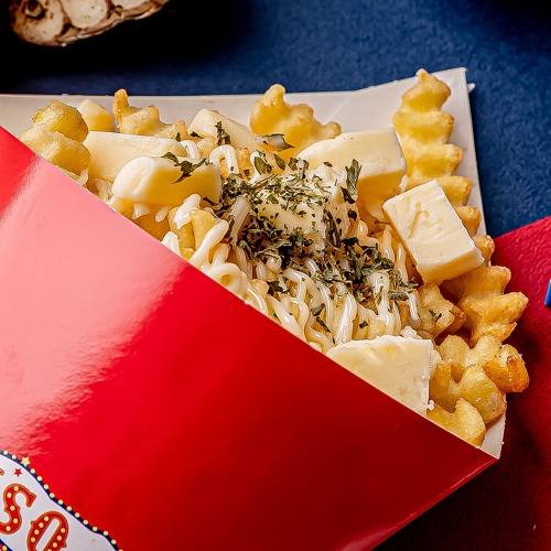 네덜란드 프리츠