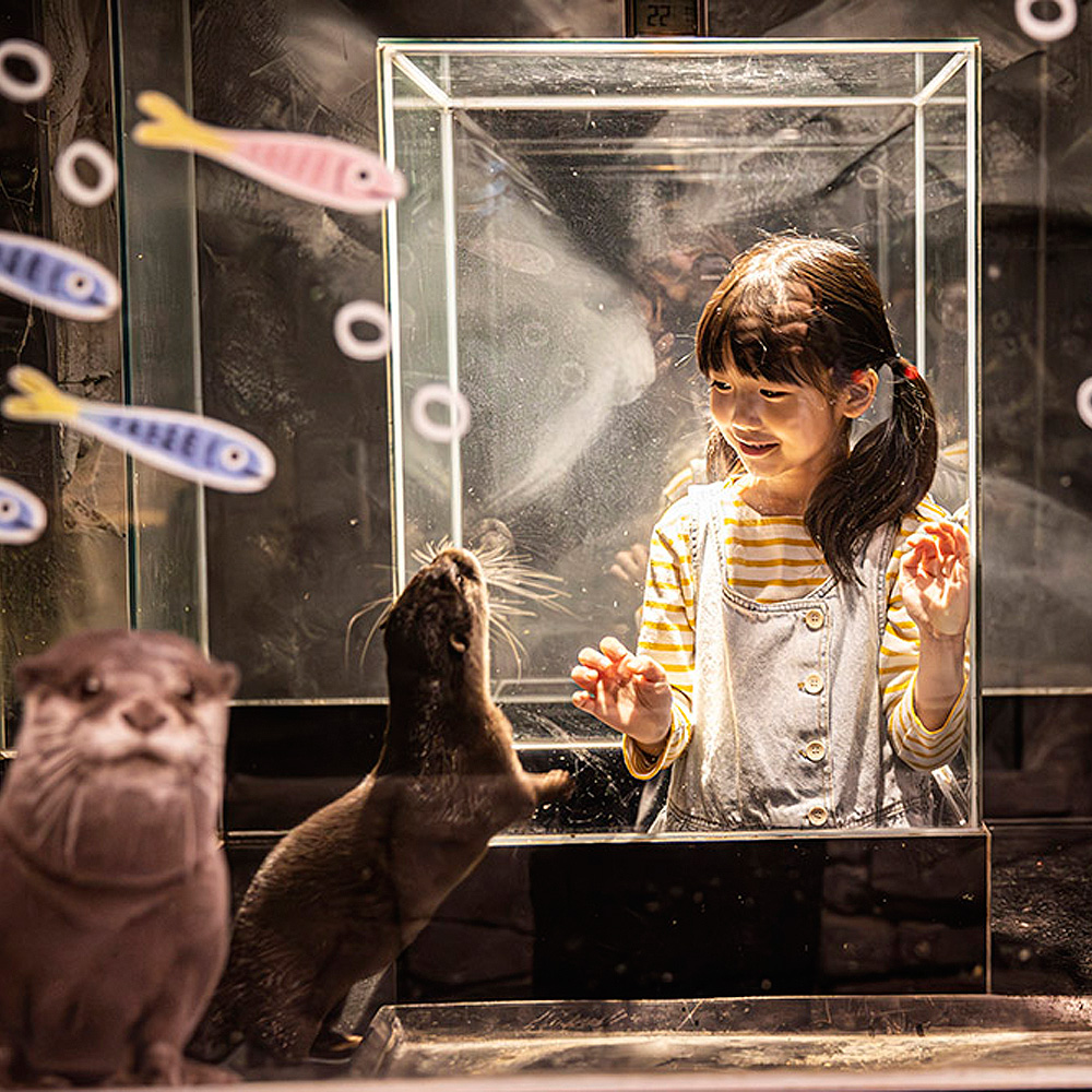 주렁주렁동물원 경주점