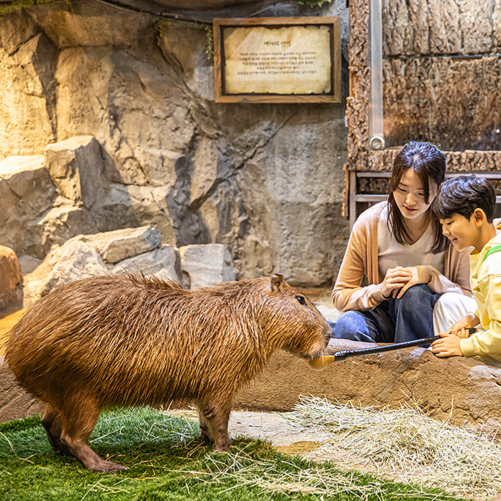 주렁주렁동물원 하남점