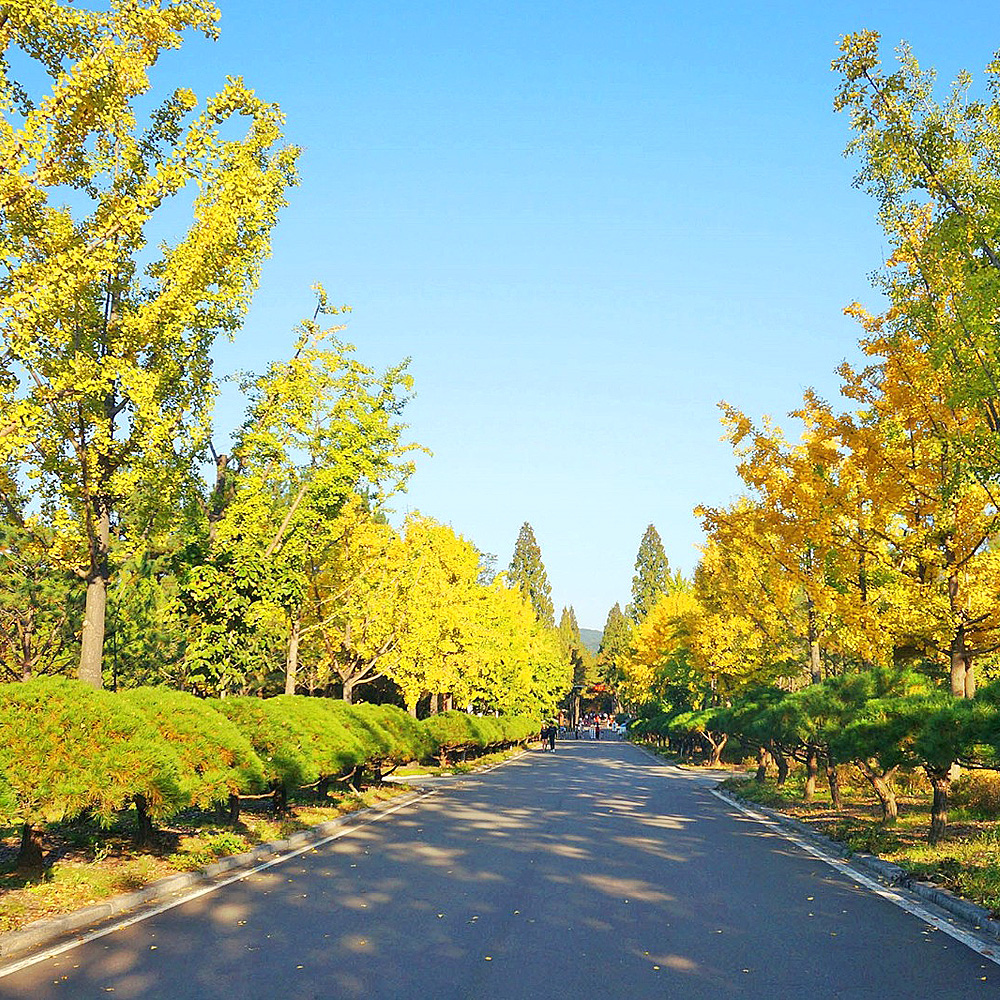 경상북도산림환경연구원