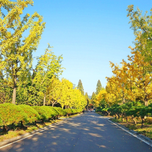 경상북도산림환경연구원