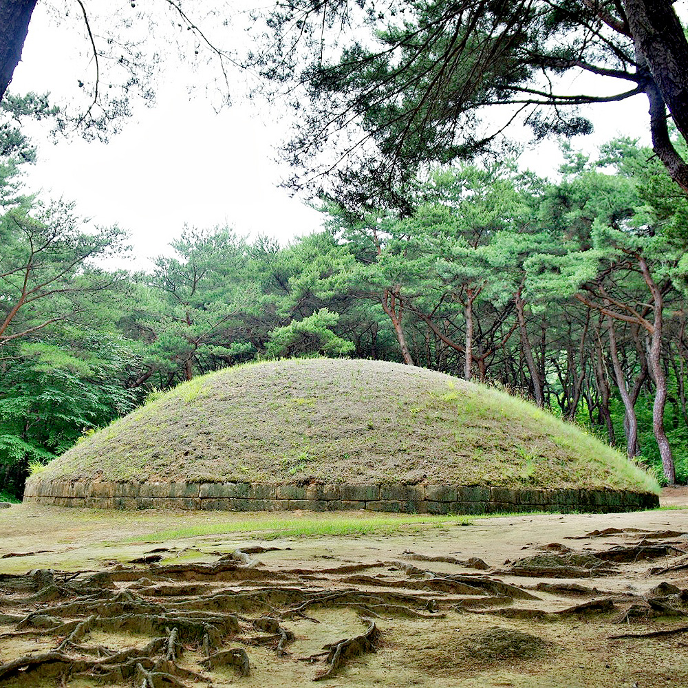 헌강왕릉 정강왕릉