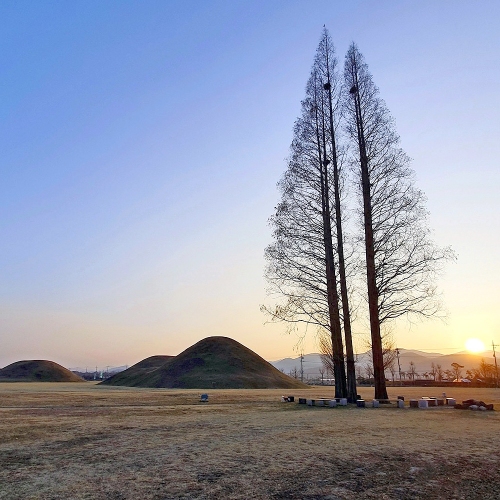 경주황남리고분군