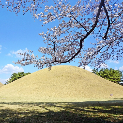 경주대릉원 미추왕릉
