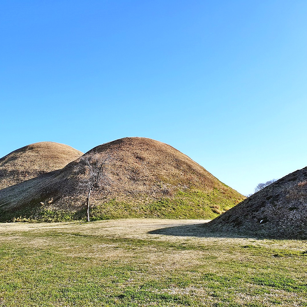 경주노서동고분군