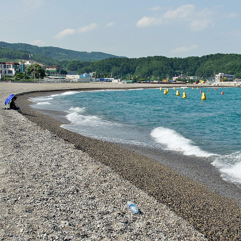 전촌솔밭해변