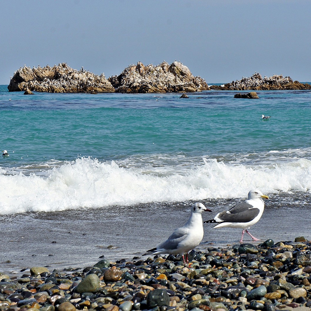 경주문무대왕릉