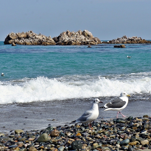 경주문무대왕릉