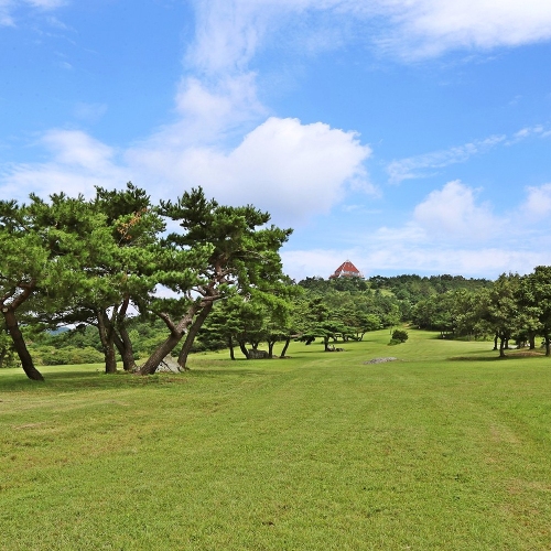 화랑의언덕 JTBC캠핑클럽촬영지