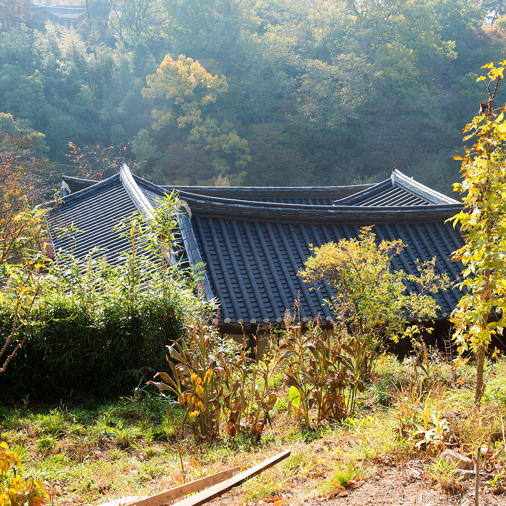 경주양동마을 근암고택