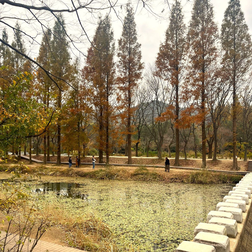 경북천년숲정원