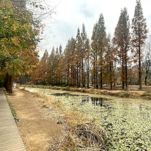 경북천년숲정원