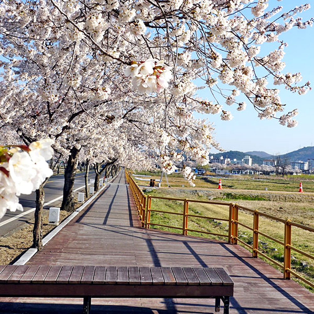 경주황룡사마루길