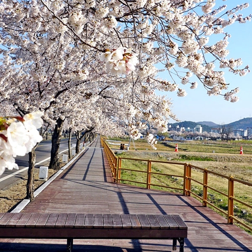 경주황룡사마루길