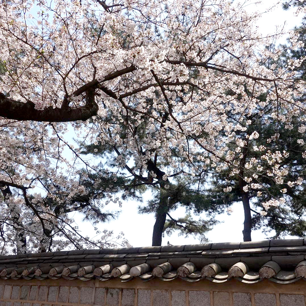 경주걷기길 10Pick