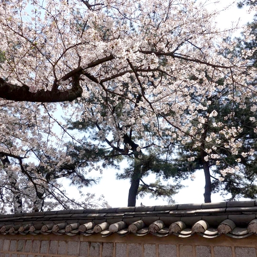 경주걷기길 10Pick