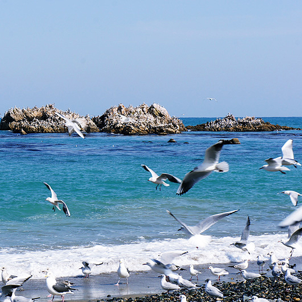 여름경주 힐링스팟 20pick