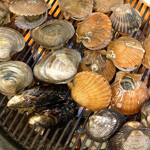 현미네조개구이