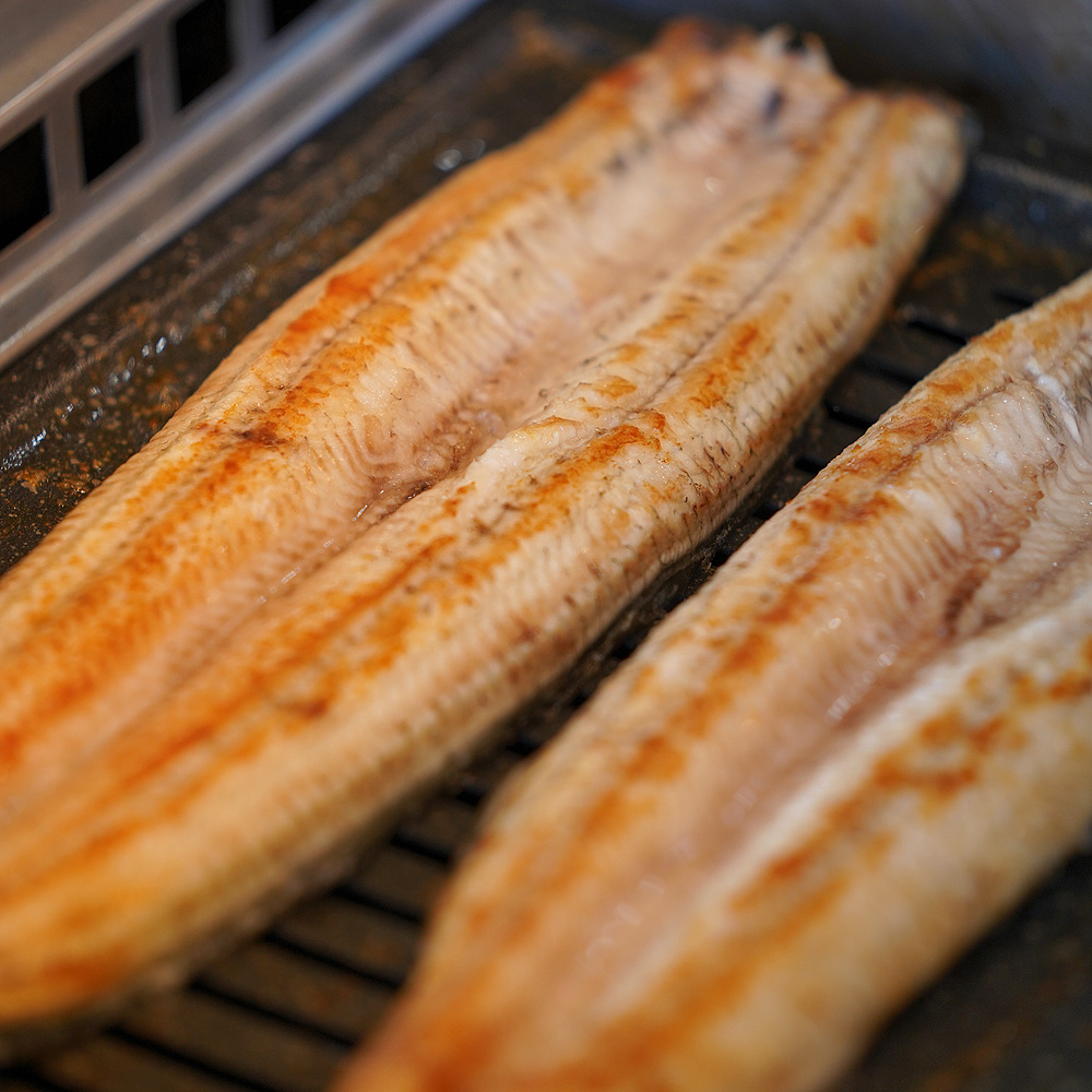 장룡민물장어나라